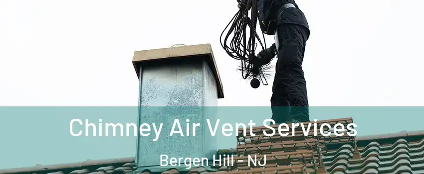 Chimney Air Vent Services Bergen Hill - NJ