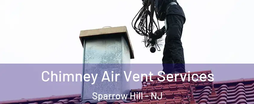 Chimney Air Vent Services Sparrow Hill - NJ