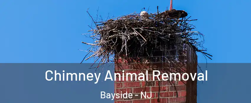 Chimney Animal Removal Bayside - NJ