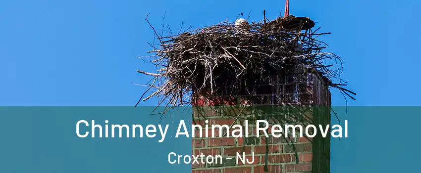 Chimney Animal Removal Croxton - NJ