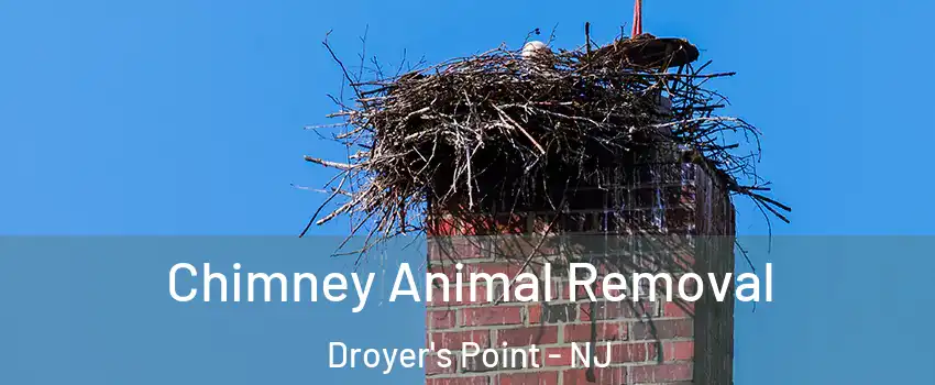 Chimney Animal Removal Droyer's Point - NJ