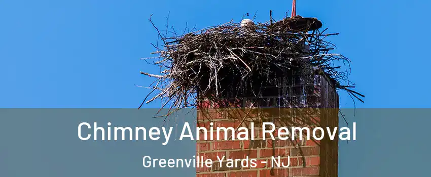 Chimney Animal Removal Greenville Yards - NJ