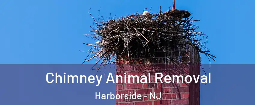 Chimney Animal Removal Harborside - NJ