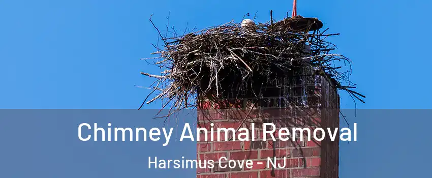 Chimney Animal Removal Harsimus Cove - NJ