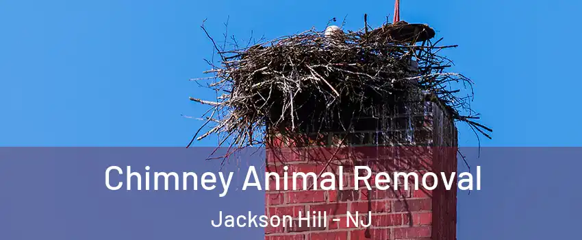 Chimney Animal Removal Jackson Hill - NJ