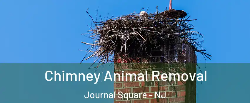 Chimney Animal Removal Journal Square - NJ