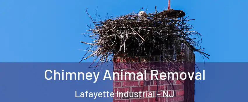 Chimney Animal Removal Lafayette Industrial - NJ