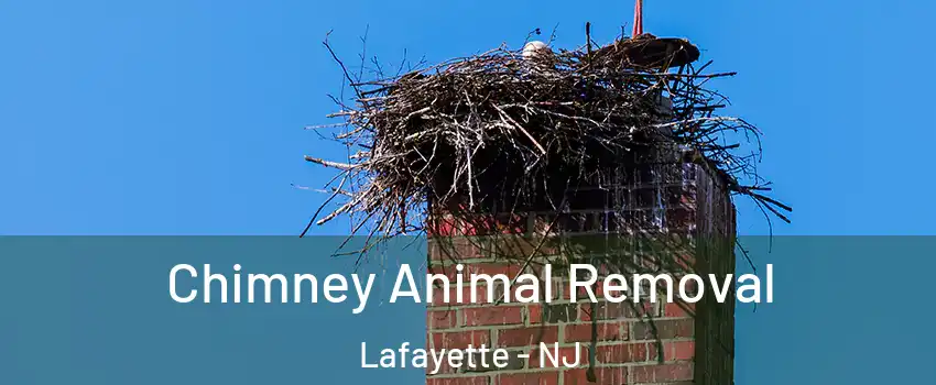 Chimney Animal Removal Lafayette - NJ
