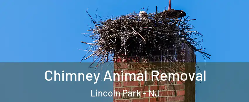 Chimney Animal Removal Lincoln Park - NJ