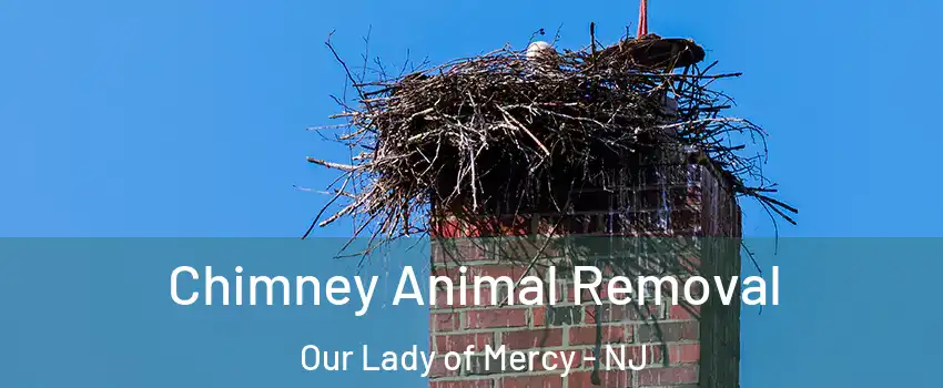 Chimney Animal Removal Our Lady of Mercy - NJ
