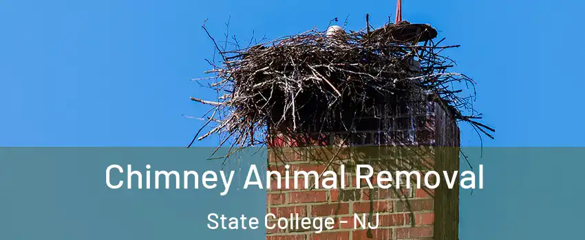 Chimney Animal Removal State College - NJ