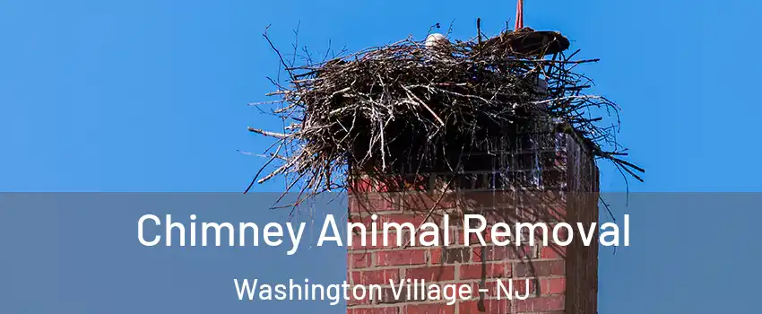 Chimney Animal Removal Washington Village - NJ