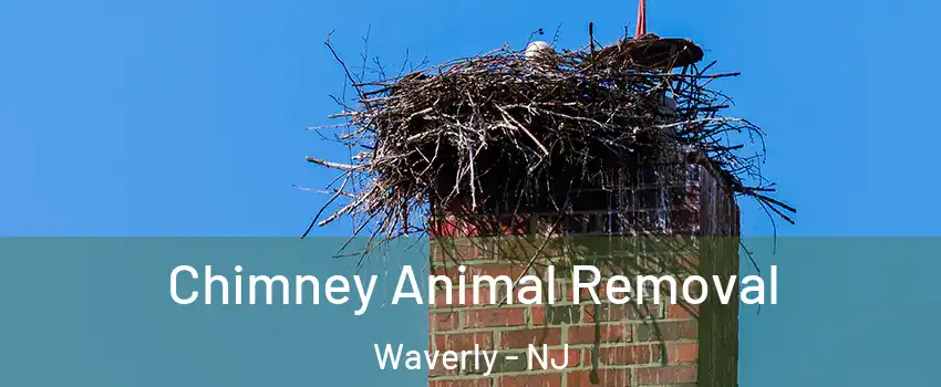 Chimney Animal Removal Waverly - NJ