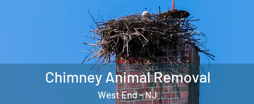 Chimney Animal Removal West End - NJ