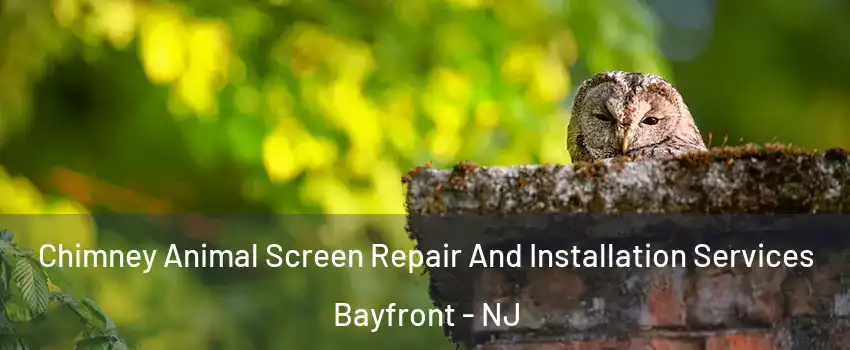 Chimney Animal Screen Repair And Installation Services Bayfront - NJ