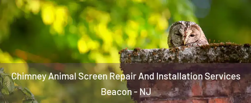 Chimney Animal Screen Repair And Installation Services Beacon - NJ