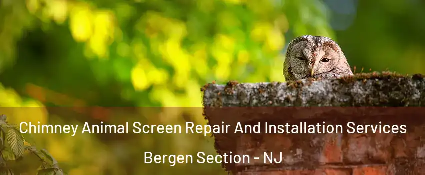 Chimney Animal Screen Repair And Installation Services Bergen Section - NJ