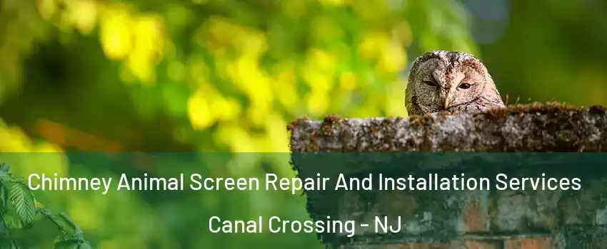Chimney Animal Screen Repair And Installation Services Canal Crossing - NJ