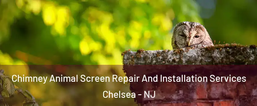 Chimney Animal Screen Repair And Installation Services Chelsea - NJ