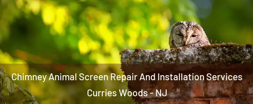 Chimney Animal Screen Repair And Installation Services Curries Woods - NJ