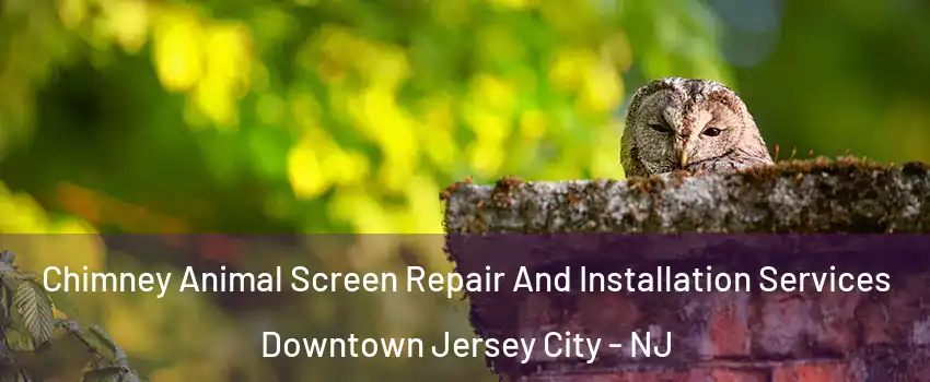 Chimney Animal Screen Repair And Installation Services Downtown Jersey City - NJ