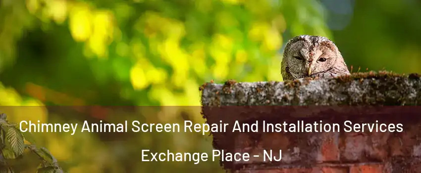 Chimney Animal Screen Repair And Installation Services Exchange Place - NJ