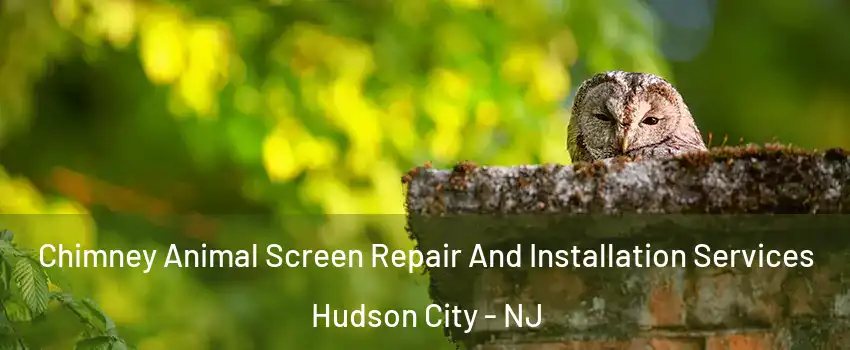 Chimney Animal Screen Repair And Installation Services Hudson City - NJ
