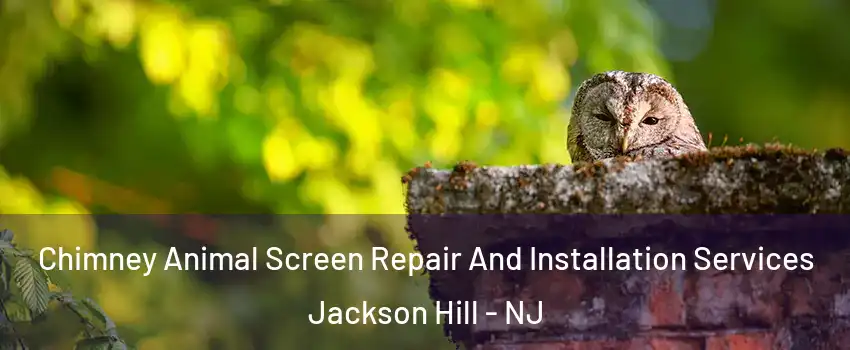 Chimney Animal Screen Repair And Installation Services Jackson Hill - NJ