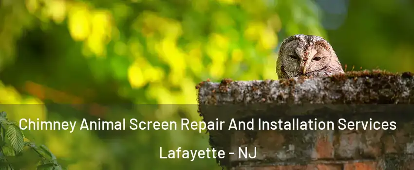 Chimney Animal Screen Repair And Installation Services Lafayette - NJ