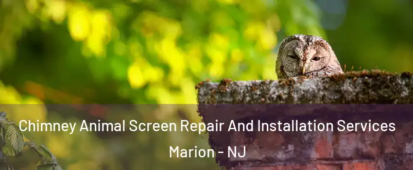 Chimney Animal Screen Repair And Installation Services Marion - NJ