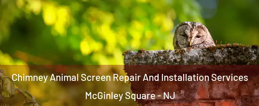 Chimney Animal Screen Repair And Installation Services McGinley Square - NJ