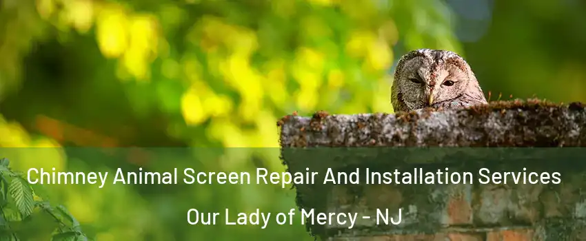 Chimney Animal Screen Repair And Installation Services Our Lady of Mercy - NJ