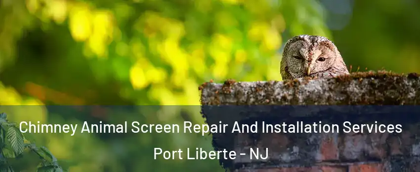 Chimney Animal Screen Repair And Installation Services Port Liberte - NJ