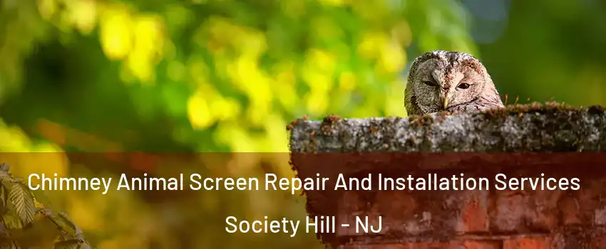 Chimney Animal Screen Repair And Installation Services Society Hill - NJ