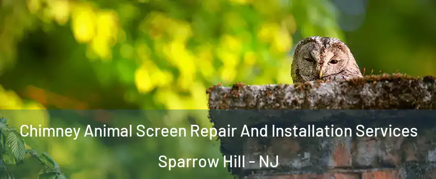 Chimney Animal Screen Repair And Installation Services Sparrow Hill - NJ