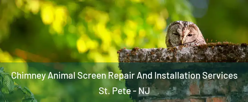 Chimney Animal Screen Repair And Installation Services St. Pete - NJ