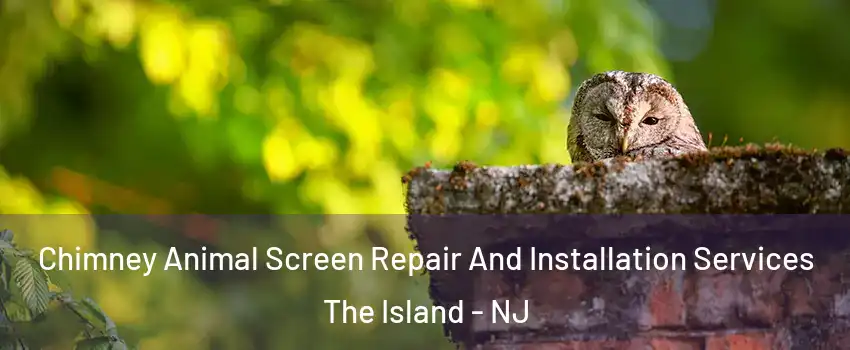 Chimney Animal Screen Repair And Installation Services The Island - NJ