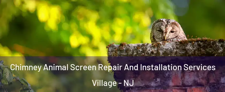 Chimney Animal Screen Repair And Installation Services Village - NJ
