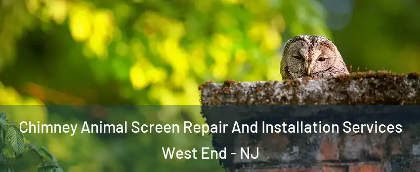 Chimney Animal Screen Repair And Installation Services West End - NJ