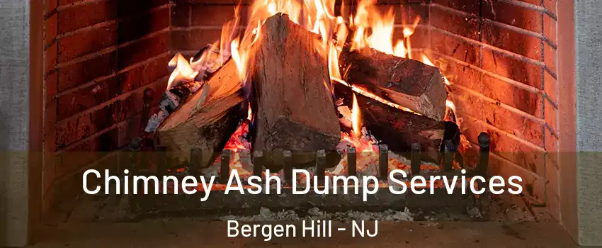 Chimney Ash Dump Services Bergen Hill - NJ