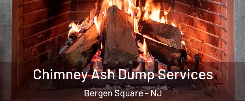 Chimney Ash Dump Services Bergen Square - NJ