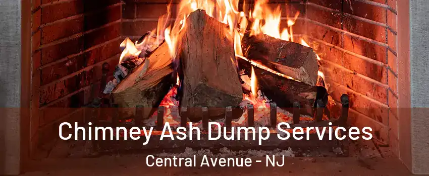 Chimney Ash Dump Services Central Avenue - NJ