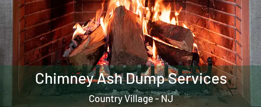 Chimney Ash Dump Services Country Village - NJ