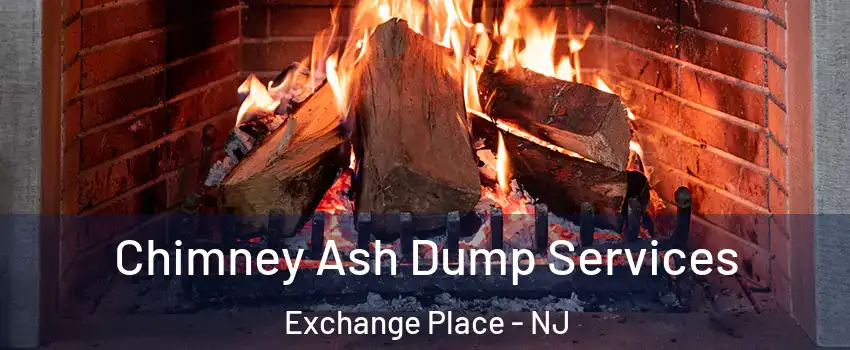 Chimney Ash Dump Services Exchange Place - NJ
