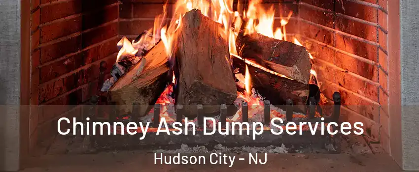 Chimney Ash Dump Services Hudson City - NJ