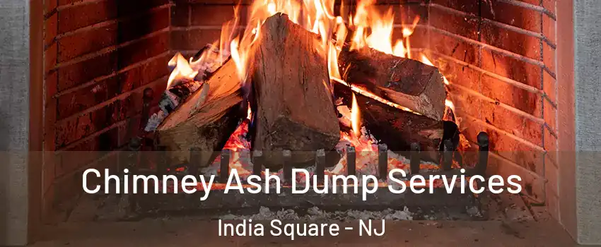 Chimney Ash Dump Services India Square - NJ