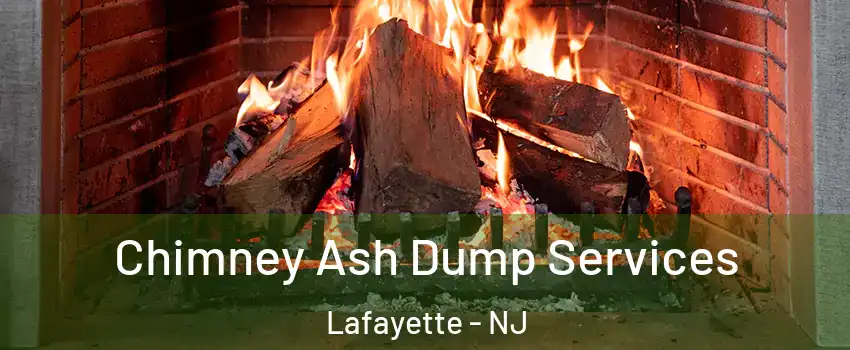 Chimney Ash Dump Services Lafayette - NJ
