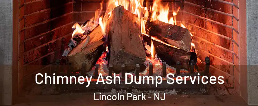 Chimney Ash Dump Services Lincoln Park - NJ
