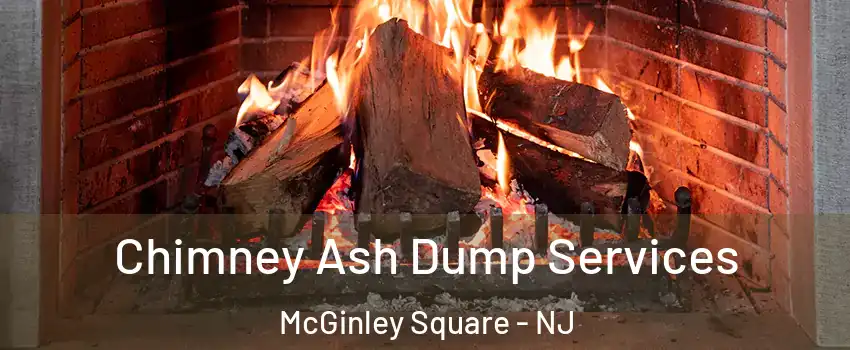 Chimney Ash Dump Services McGinley Square - NJ