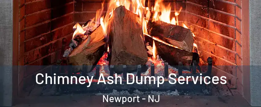 Chimney Ash Dump Services Newport - NJ